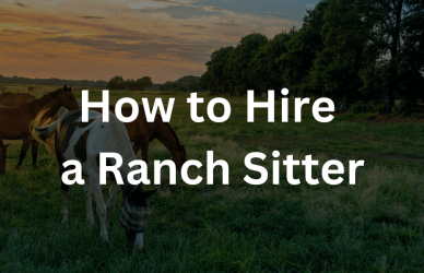How to Hire a Ranch Sitter - Blog - Ranch Neighbors